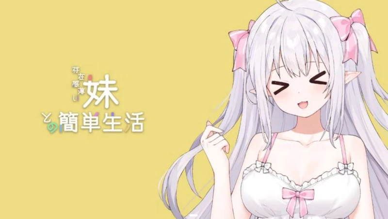 Complete Guide to All Events in a Simple Life with a Low-Profile Sister: Hidden Elements and Affecti