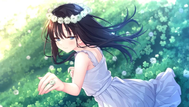 Inaka Kyoudai All Endings Guide: Illustrated Walkthrough for Devoted Brother & Sickly Sister's Rural